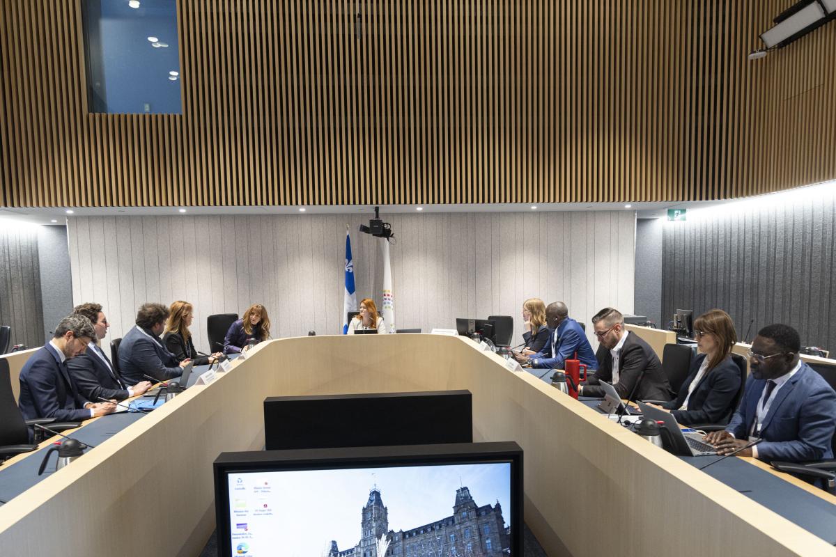 Réseau des jeunes parlementaires