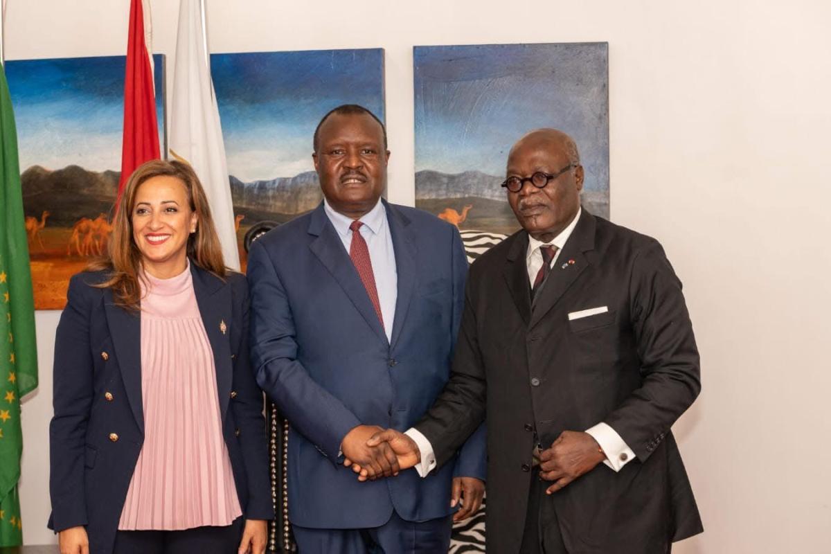 Parlement panafricain