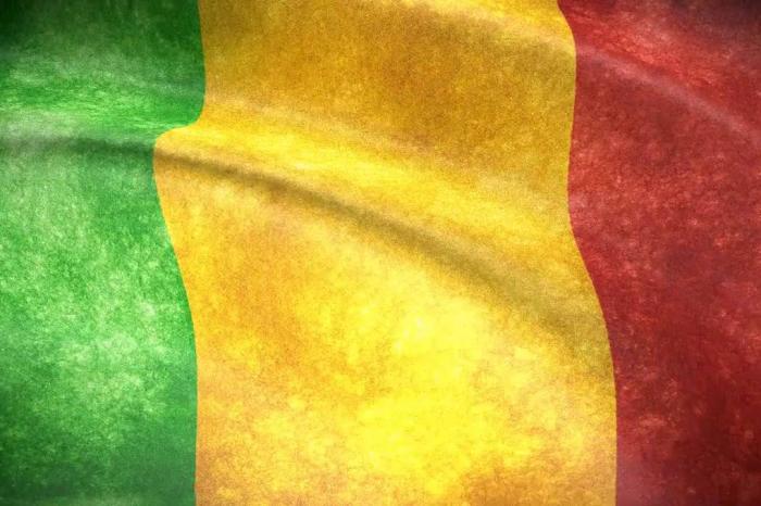 Mali : L’APF appelle à la libération du Président de la Transition et de son Premier ministre